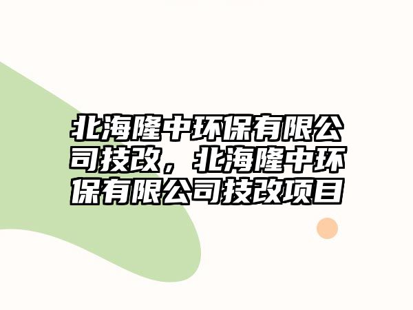 北海隆中環(huán)保有限公司技改，北海隆中環(huán)保有限公司技改項(xiàng)目