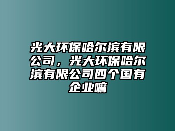 光大環(huán)保哈爾濱有限公司，光大環(huán)保哈爾濱有限公司四個國有企業(yè)嘛