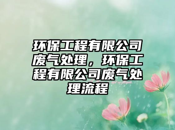 環(huán)保工程有限公司廢氣處理，環(huán)保工程有限公司廢氣處理流程