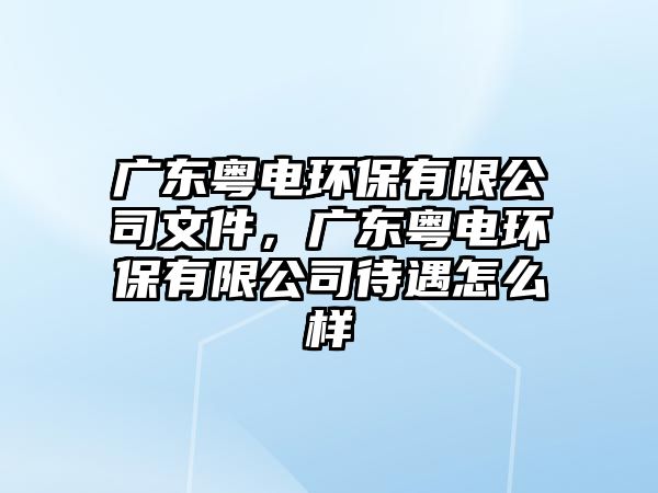 廣東粵電環(huán)保有限公司文件，廣東粵電環(huán)保有限公司待遇怎么樣