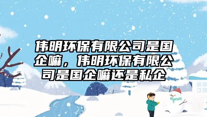 偉明環(huán)保有限公司是國企嘛，偉明環(huán)保有限公司是國企嘛還是私企