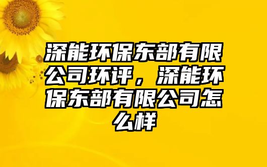 深能環(huán)保東部有限公司環(huán)評，深能環(huán)保東部有限公司怎么樣