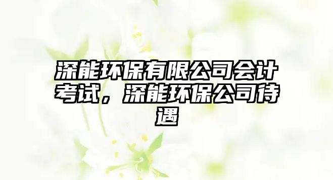 深能環(huán)保有限公司會(huì)計(jì)考試，深能環(huán)保公司待遇