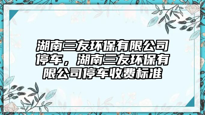 湖南三友環(huán)保有限公司停車(chē)，湖南三友環(huán)保有限公司停車(chē)收費(fèi)標(biāo)準(zhǔn)