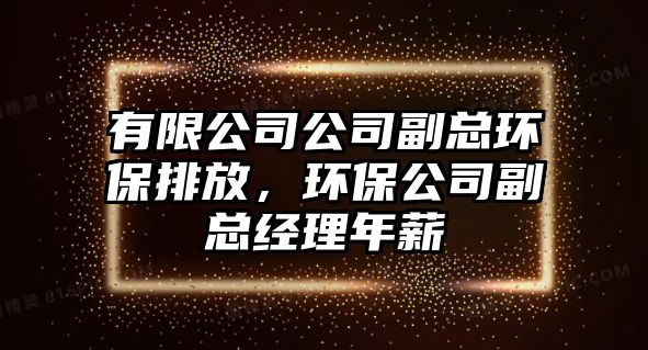 有限公司公司副總環(huán)保排放，環(huán)保公司副總經(jīng)理年薪