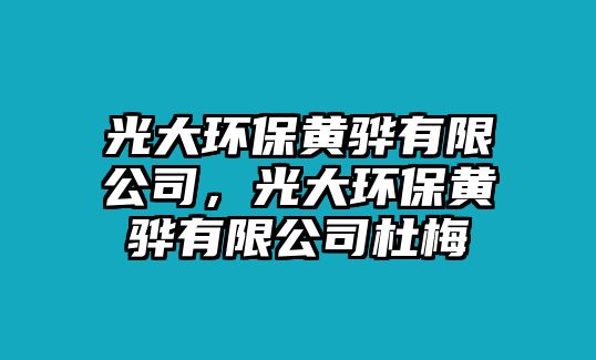 光大環(huán)保黃驊有限公司，光大環(huán)保黃驊有限公司杜梅