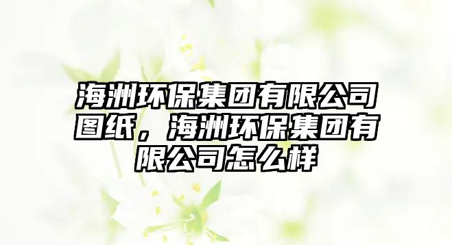 海洲環(huán)保集團有限公司圖紙，海洲環(huán)保集團有限公司怎么樣