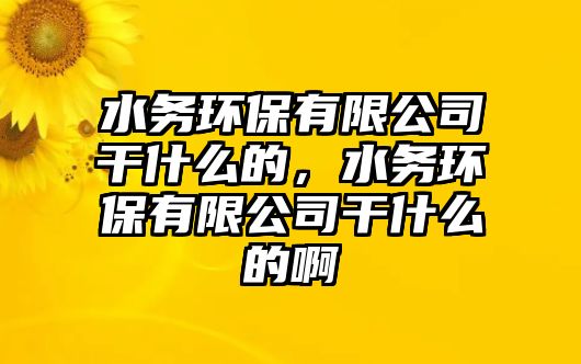 水務(wù)環(huán)保有限公司干什么的，水務(wù)環(huán)保有限公司干什么的啊