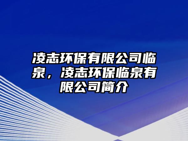 凌志環(huán)保有限公司臨泉，凌志環(huán)保臨泉有限公司簡介