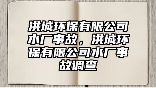 洪城環(huán)保有限公司水廠事故，洪城環(huán)保有限公司水廠事故調(diào)查