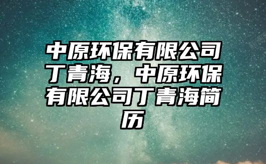 中原環(huán)保有限公司丁青海，中原環(huán)保有限公司丁青海簡歷