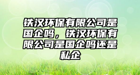 鐵漢環(huán)保有限公司是國(guó)企嗎，鐵漢環(huán)保有限公司是國(guó)企嗎還是私企