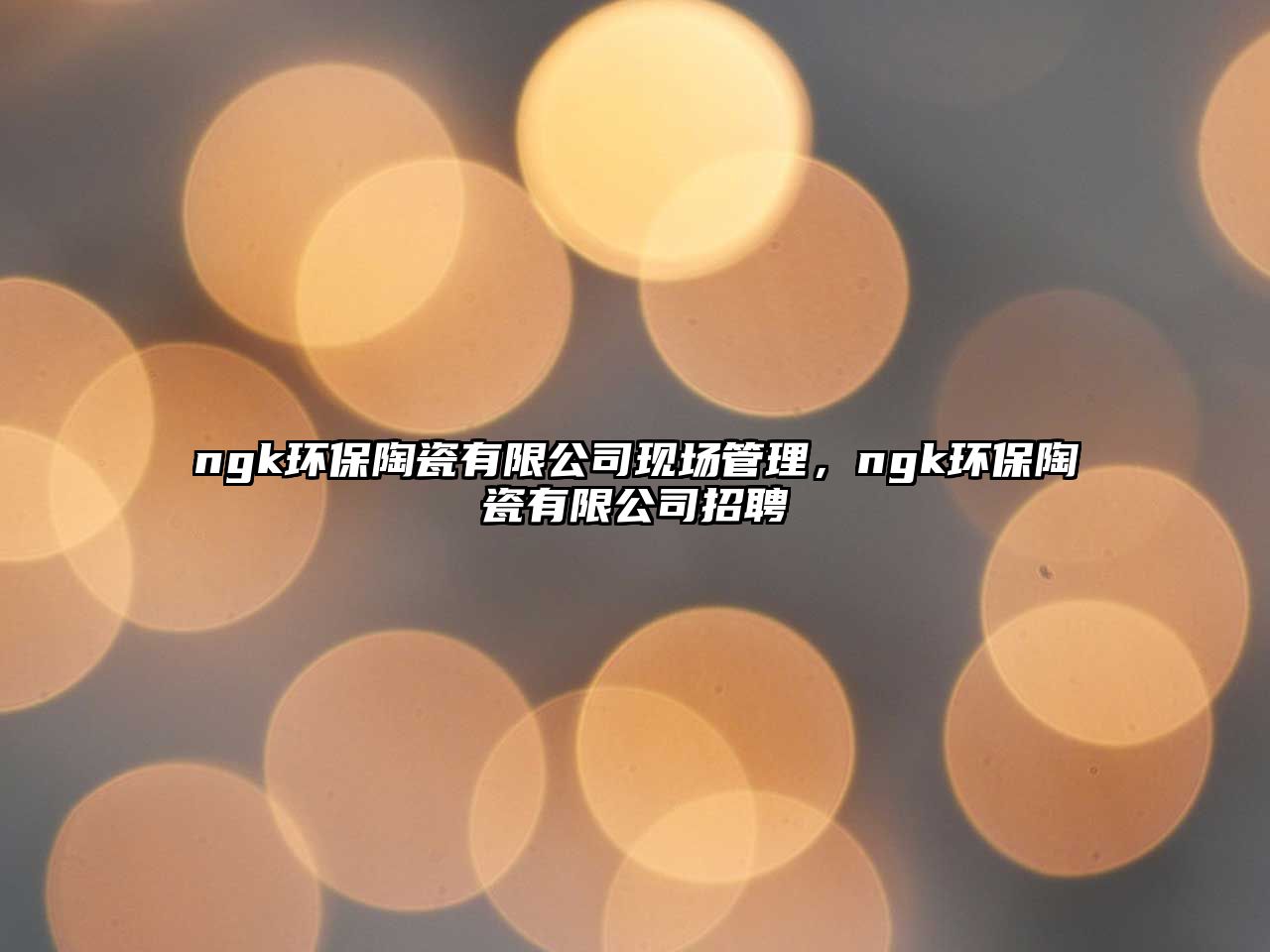 ngk環(huán)保陶瓷有限公司現(xiàn)場(chǎng)管理，ngk環(huán)保陶瓷有限公司招聘