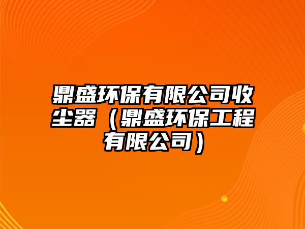 鼎盛環(huán)保有限公司收塵器（鼎盛環(huán)保工程有限公司）