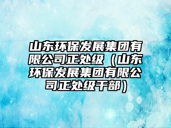 山東環(huán)保發(fā)展集團(tuán)有限公司正處級（山東環(huán)保發(fā)展集團(tuán)有限公司正處級干部）