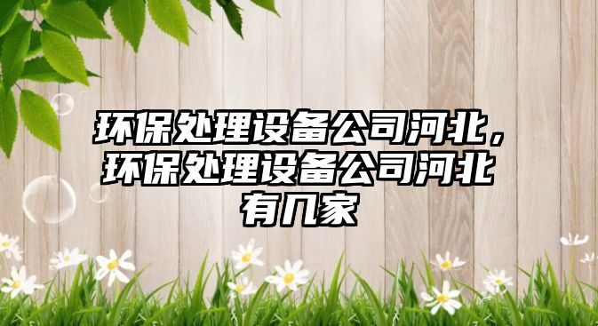 環(huán)保處理設備公司河北，環(huán)保處理設備公司河北有幾家