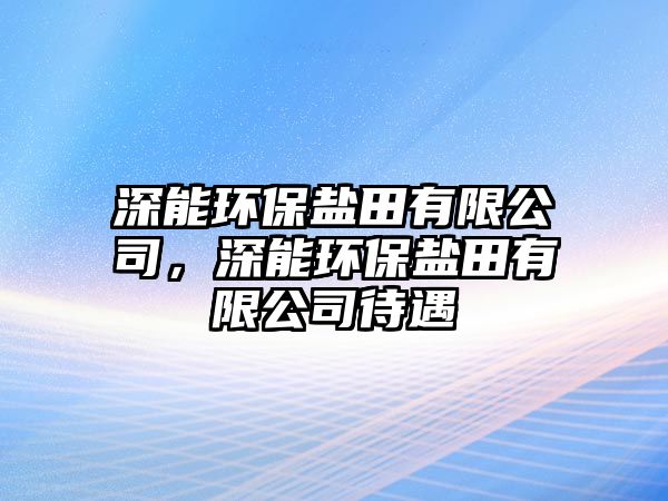 深能環(huán)保鹽田有限公司，深能環(huán)保鹽田有限公司待遇