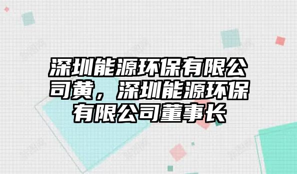 深圳能源環(huán)保有限公司黃，深圳能源環(huán)保有限公司董事長