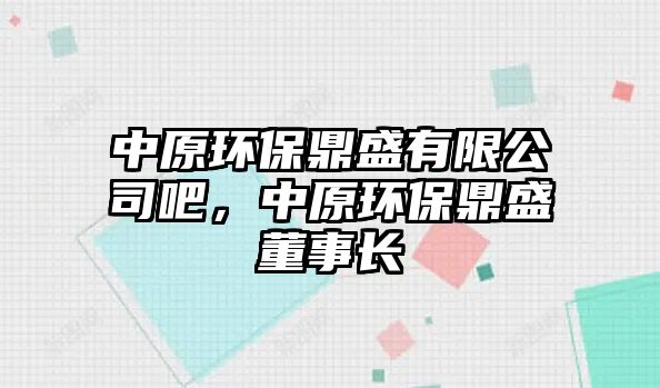 中原環(huán)保鼎盛有限公司吧，中原環(huán)保鼎盛董事長