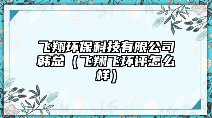 飛翔環(huán)?？萍加邢薰卷n總（飛翔飛環(huán)評怎么樣）