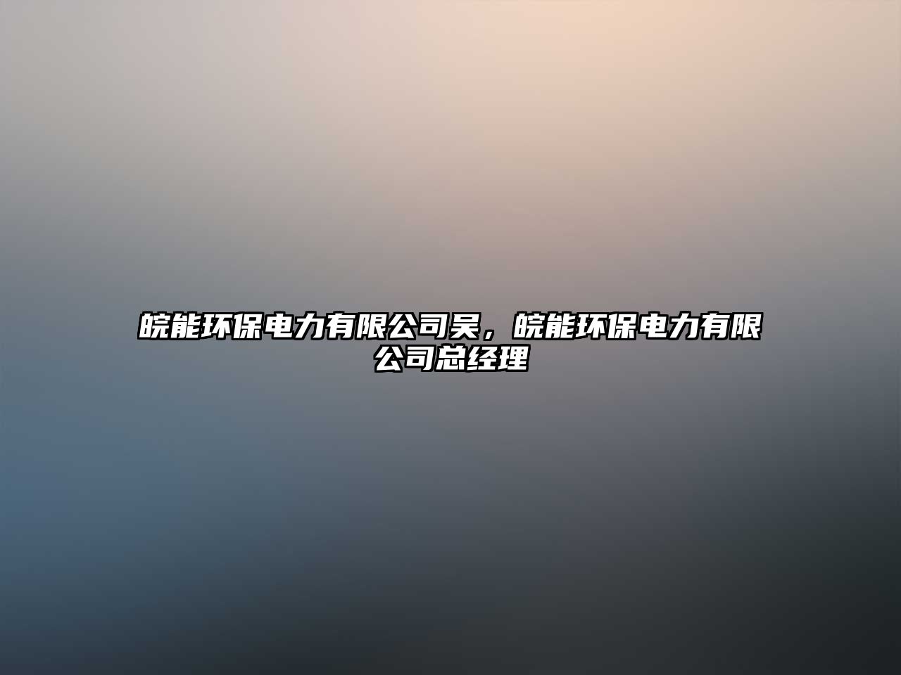 皖能環(huán)保電力有限公司吳，皖能環(huán)保電力有限公司總經(jīng)理