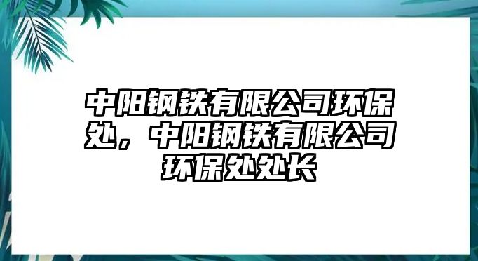 中陽(yáng)鋼鐵有限公司環(huán)保處，中陽(yáng)鋼鐵有限公司環(huán)保處處長(zhǎng)