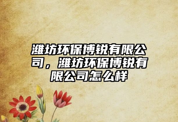 濰坊環(huán)保博銳有限公司，濰坊環(huán)保博銳有限公司怎么樣