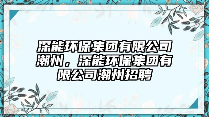 深能環(huán)保集團有限公司潮州，深能環(huán)保集團有限公司潮州招聘