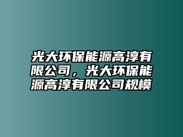 光大環(huán)保能源高淳有限公司，光大環(huán)保能源高淳有限公司規(guī)模