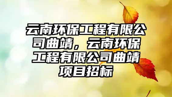 云南環(huán)保工程有限公司曲靖，云南環(huán)保工程有限公司曲靖項(xiàng)目招標(biāo)