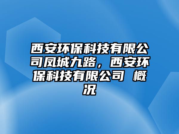 西安環(huán)保科技有限公司鳳城九路，西安環(huán)?？萍加邢薰?概況