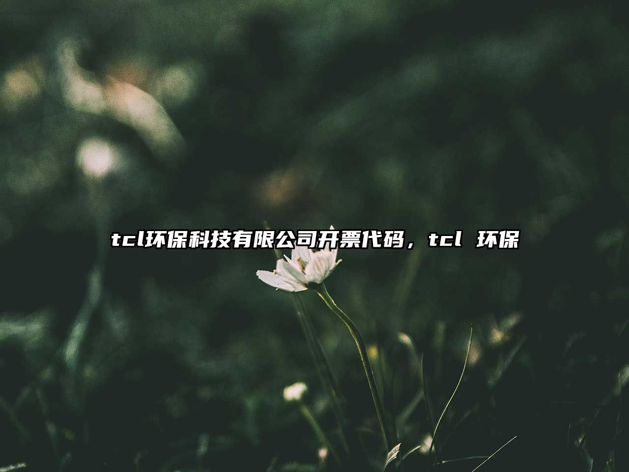 tcl環(huán)?？萍加邢薰鹃_票代碼，tcl 環(huán)保