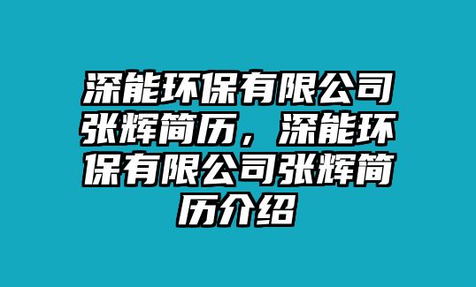 深能環(huán)保有限公司張輝簡(jiǎn)歷，深能環(huán)保有限公司張輝簡(jiǎn)歷介紹