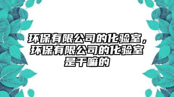 環(huán)保有限公司的化驗(yàn)室，環(huán)保有限公司的化驗(yàn)室是干嘛的