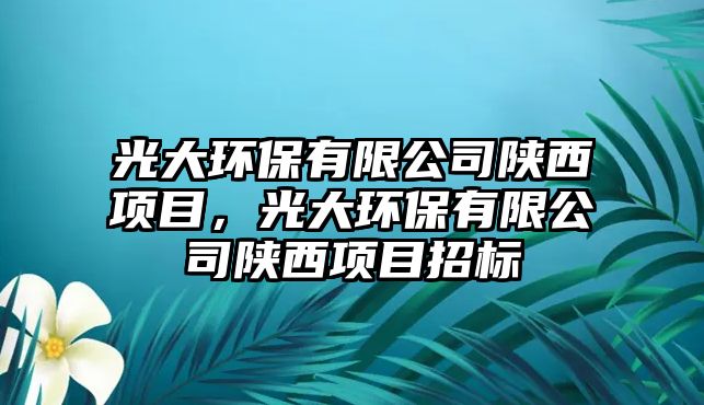 光大環(huán)保有限公司陜西項目，光大環(huán)保有限公司陜西項目招標(biāo)