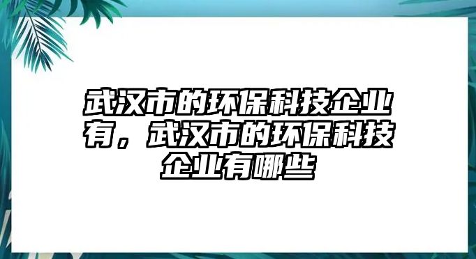 武漢市的環(huán)保科技企業(yè)有，武漢市的環(huán)?？萍计髽I(yè)有哪些