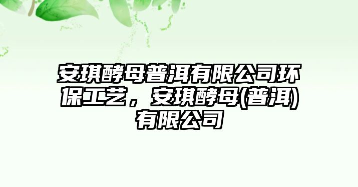 安琪酵母普洱有限公司環(huán)保工藝，安琪酵母(普洱)有限公司