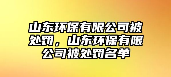 山東環(huán)保有限公司被處罰，山東環(huán)保有限公司被處罰名單