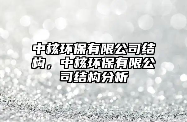 中核環(huán)保有限公司結(jié)構(gòu)，中核環(huán)保有限公司結(jié)構(gòu)分析