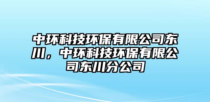 中環(huán)科技環(huán)保有限公司東川，中環(huán)科技環(huán)保有限公司東川分公司