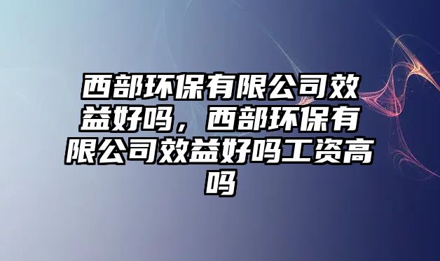 西部環(huán)保有限公司效益好嗎，西部環(huán)保有限公司效益好嗎工資高嗎