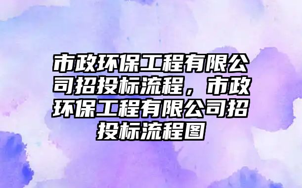 市政環(huán)保工程有限公司招投標(biāo)流程，市政環(huán)保工程有限公司招投標(biāo)流程圖