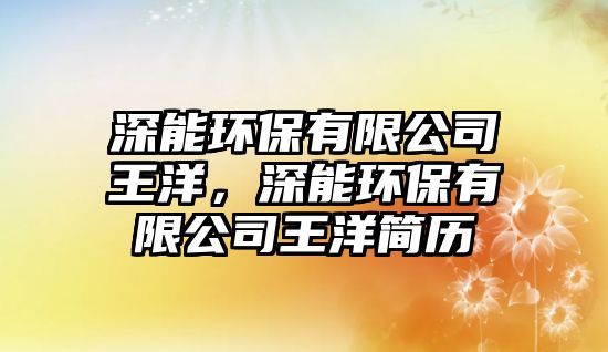 深能環(huán)保有限公司王洋，深能環(huán)保有限公司王洋簡(jiǎn)歷