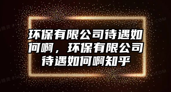 環(huán)保有限公司待遇如何啊，環(huán)保有限公司待遇如何啊知乎