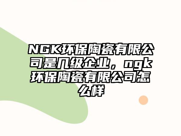 NGK環(huán)保陶瓷有限公司是幾級企業(yè)，ngk環(huán)保陶瓷有限公司怎么樣