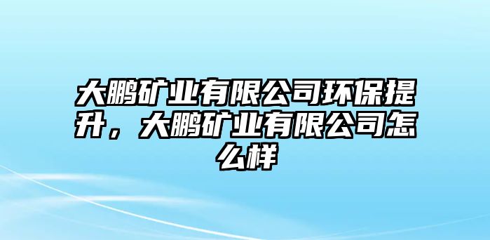 大鵬礦業(yè)有限公司環(huán)保提升，大鵬礦業(yè)有限公司怎么樣