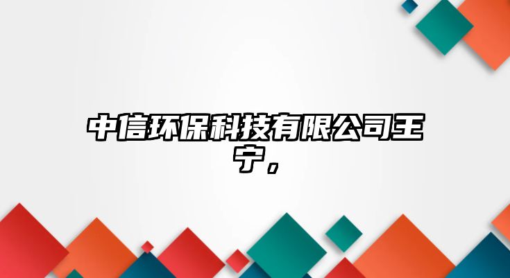 中信環(huán)保科技有限公司王寧，