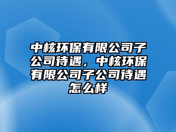 中核環(huán)保有限公司子公司待遇，中核環(huán)保有限公司子公司待遇怎么樣