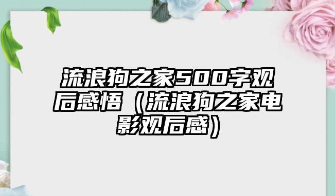 流浪狗之家500字觀后感悟（流浪狗之家電影觀后感）