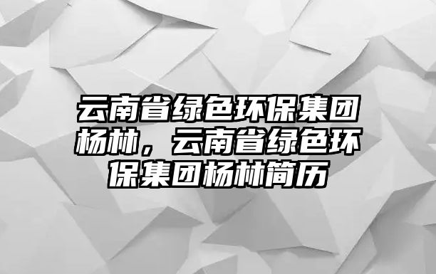 云南省綠色環(huán)保集團楊林，云南省綠色環(huán)保集團楊林簡歷